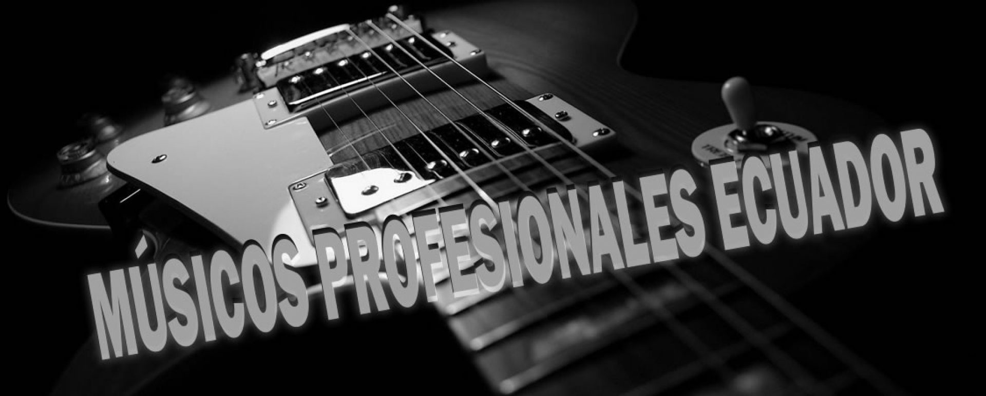 Músicos Profesionales  Ecuador